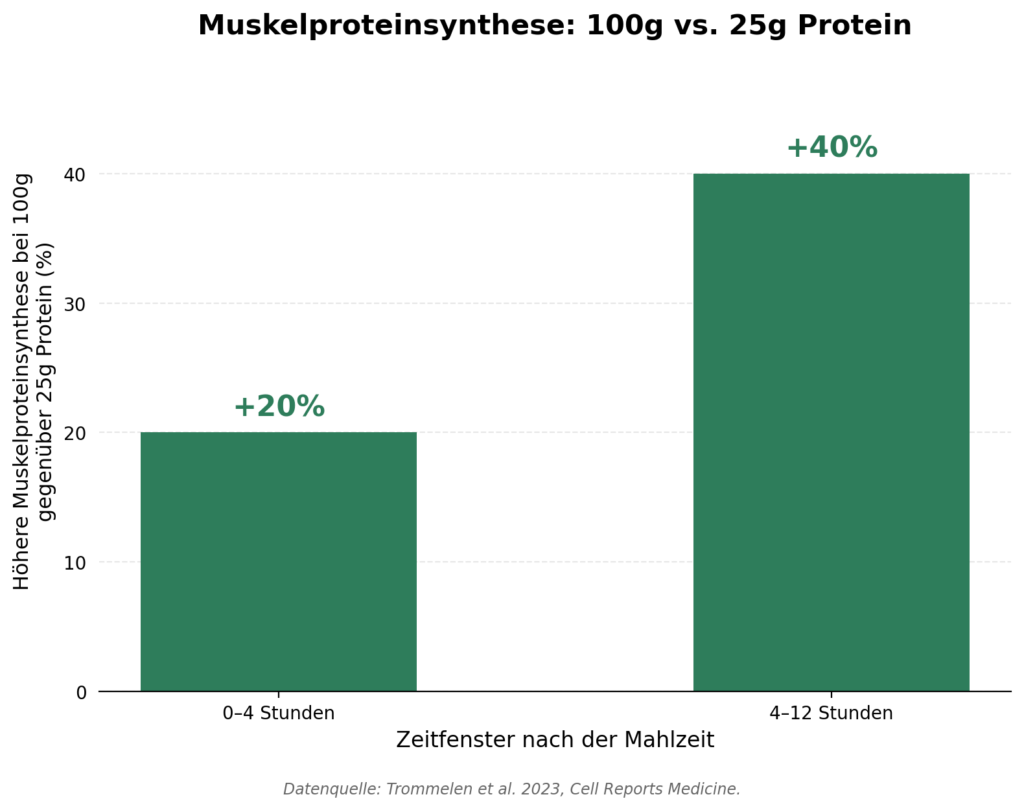 Balkendiagramm zur Muskelproteinsynthese nach 100 Gramm gegenüber 25 Gramm Protein, zeigt 20 Prozent höhere Synthese in den ersten vier Stunden und 40 Prozent höhere Synthese zwischen Stunde vier und zwölf